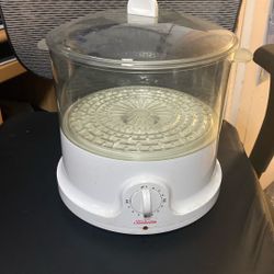 Sunbeam 10” steamer 