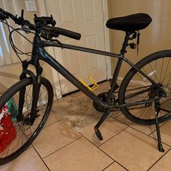 2022 Trek Dual Sport 1