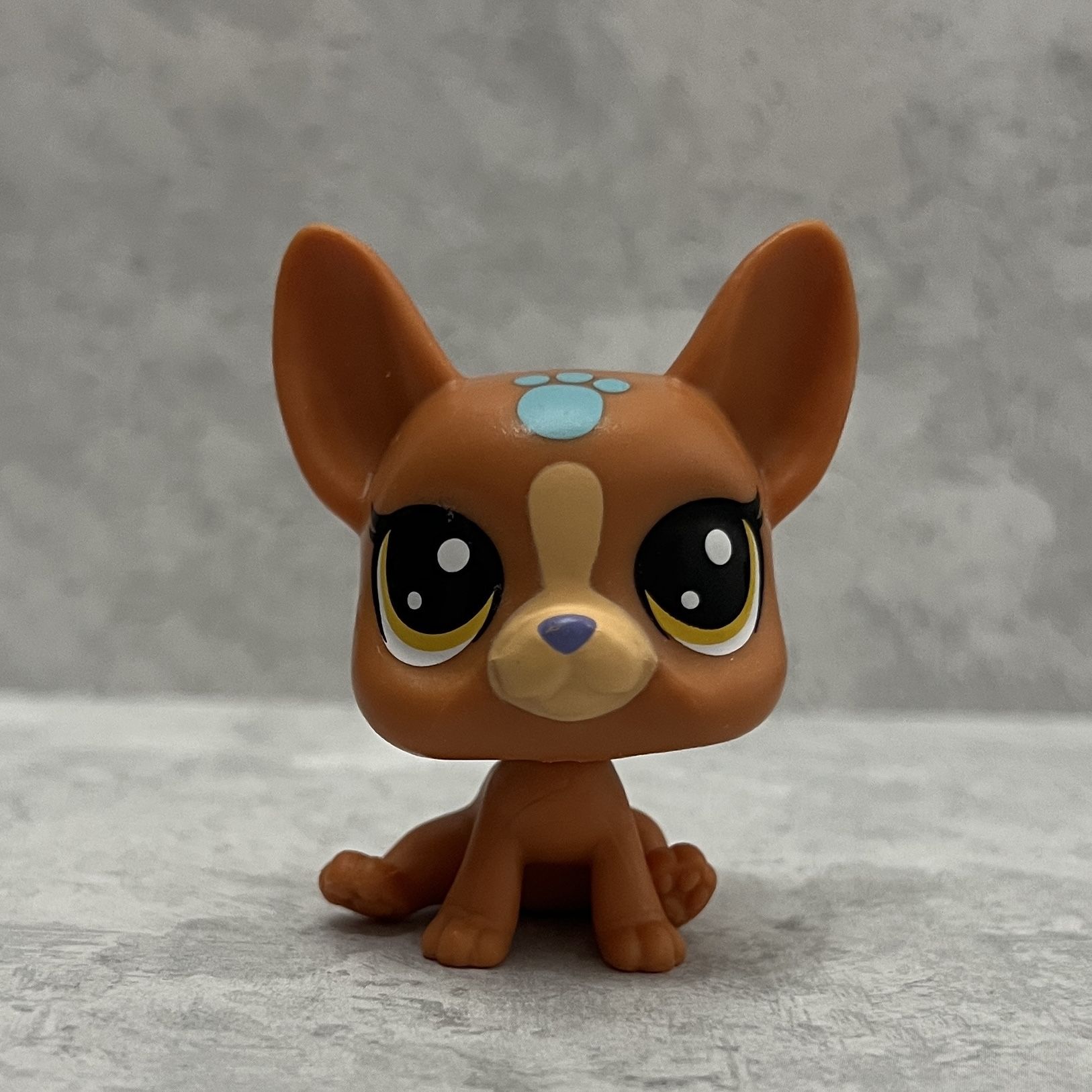 Littlest Pet Shop Boston Terrier Dog Wave 2 Lucky Pets Fortune Cookie Series