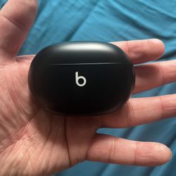Beats Studio Buds True Wireless Noise Canceling 