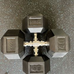 Rogue 40lbs 