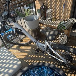 Full Electric E-Bike Sondor