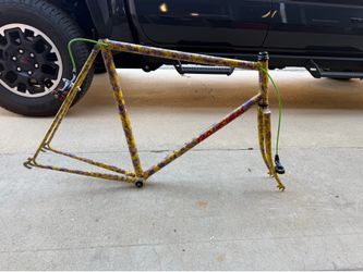 Hand painted Raleigh Bike Frame