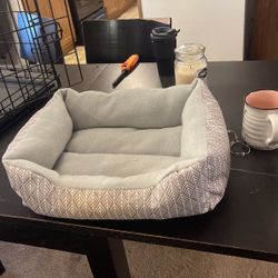 Cat Bed