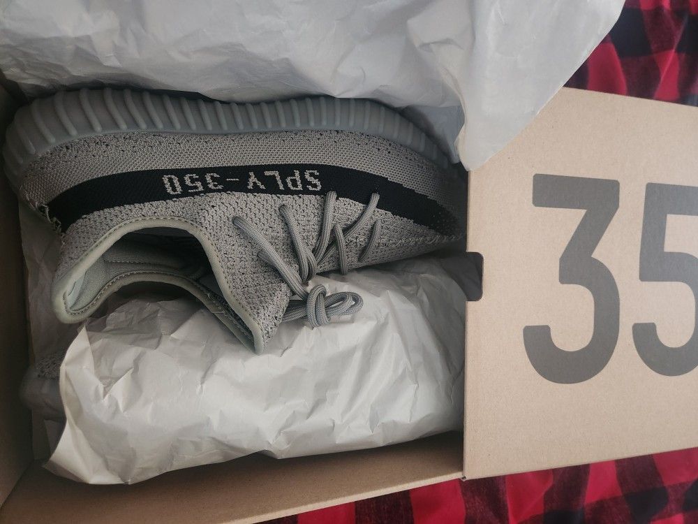 Yeezy 350