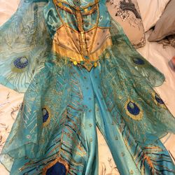 Princess Jasmine Costume