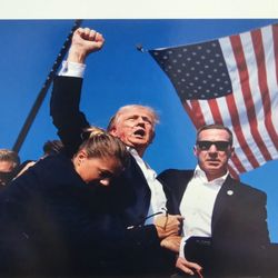 Trump Vinyl Decal Mural, Print, Poster Or Static Cling