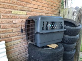 Pet travel carrier
