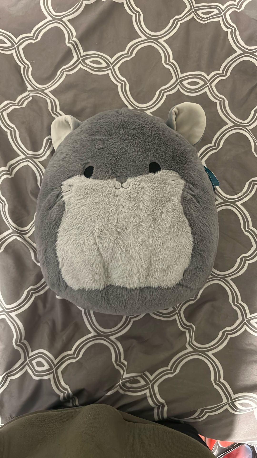 Chinchilla Squishmallow