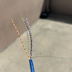 CAT6 