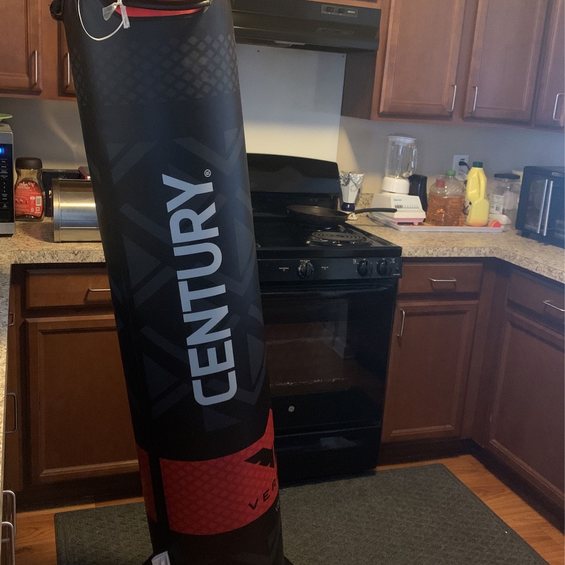 CENTURY Punching Bag