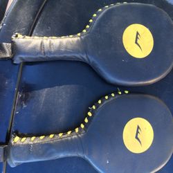 Everlast Punch Mitts 