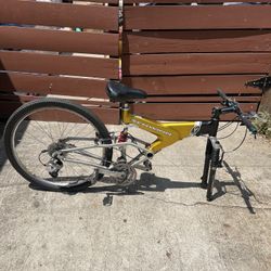 1999 Schwinn S20 Frame Carbon Fiber Mountain Bike