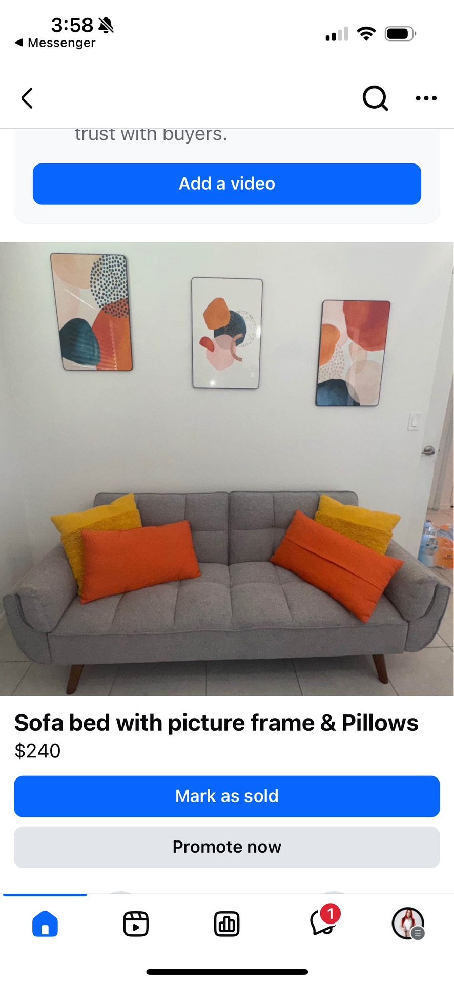 Sofa Bed With Picture Frames