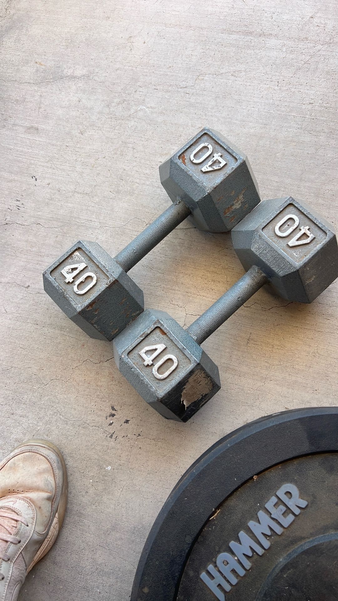 40lb Hex Metal Dumbbells