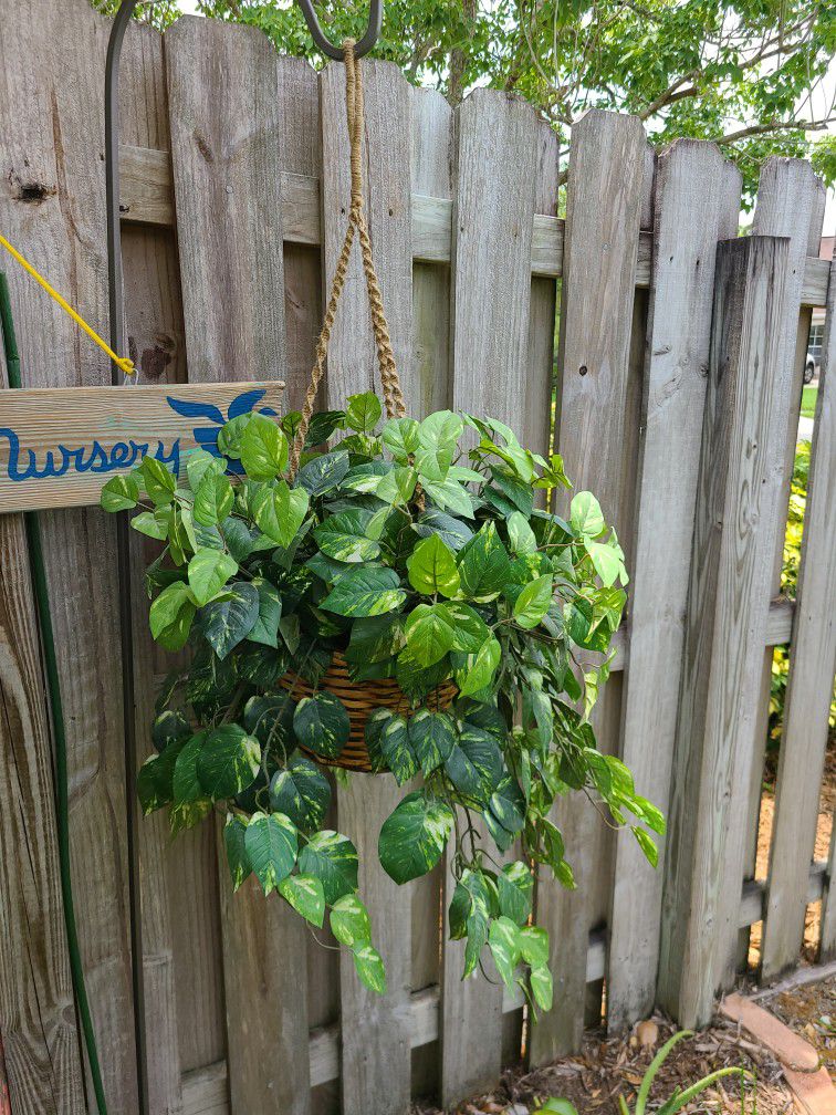 Large Artificial Hanging Philodendron Plant