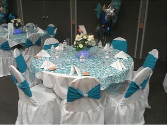 Chair Covers