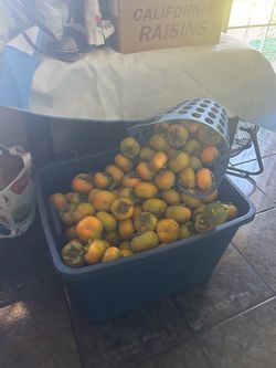 Persimmons/persimos $13 a bag