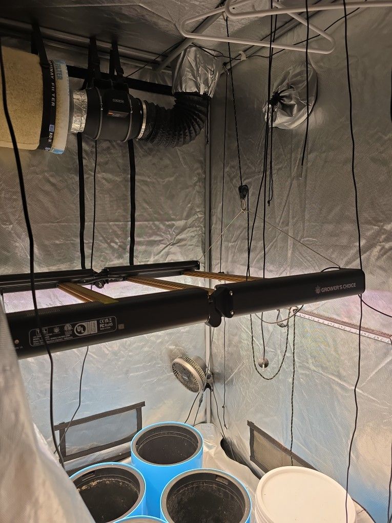 Grow Light
