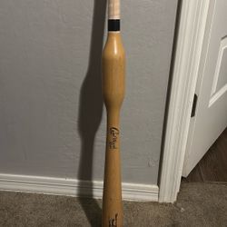 cam wood trainer bat