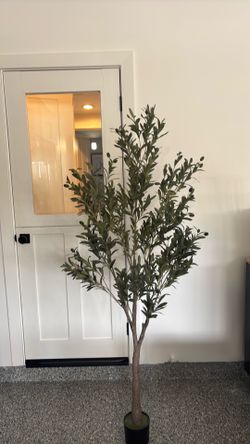 Fake olive tree
