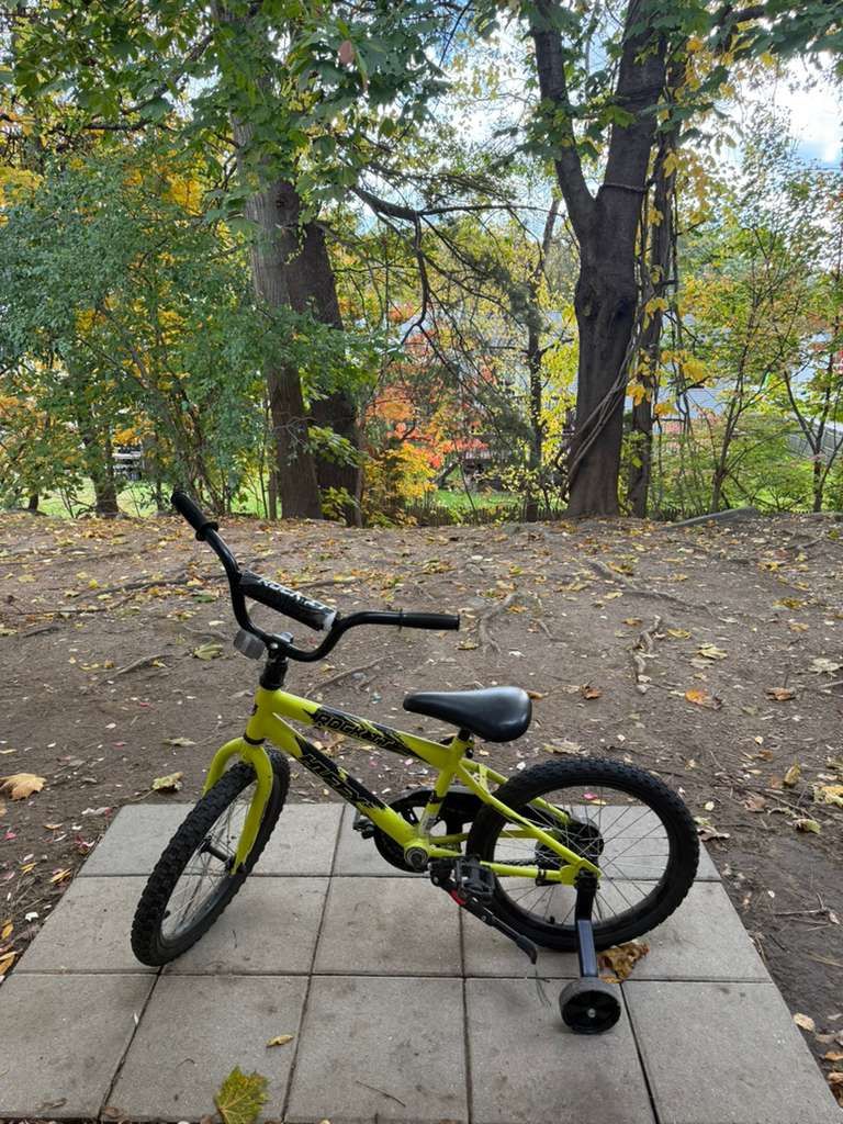 18” Rock It Kids Bike