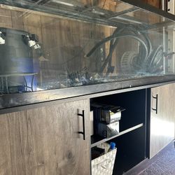 125 Gallon Fish Tank 