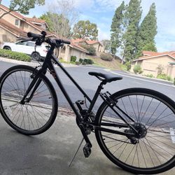 Liv Alight 3 Cruiser Bike (Rosewood) (M)