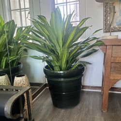 High Quality Artificial Corn Plants
