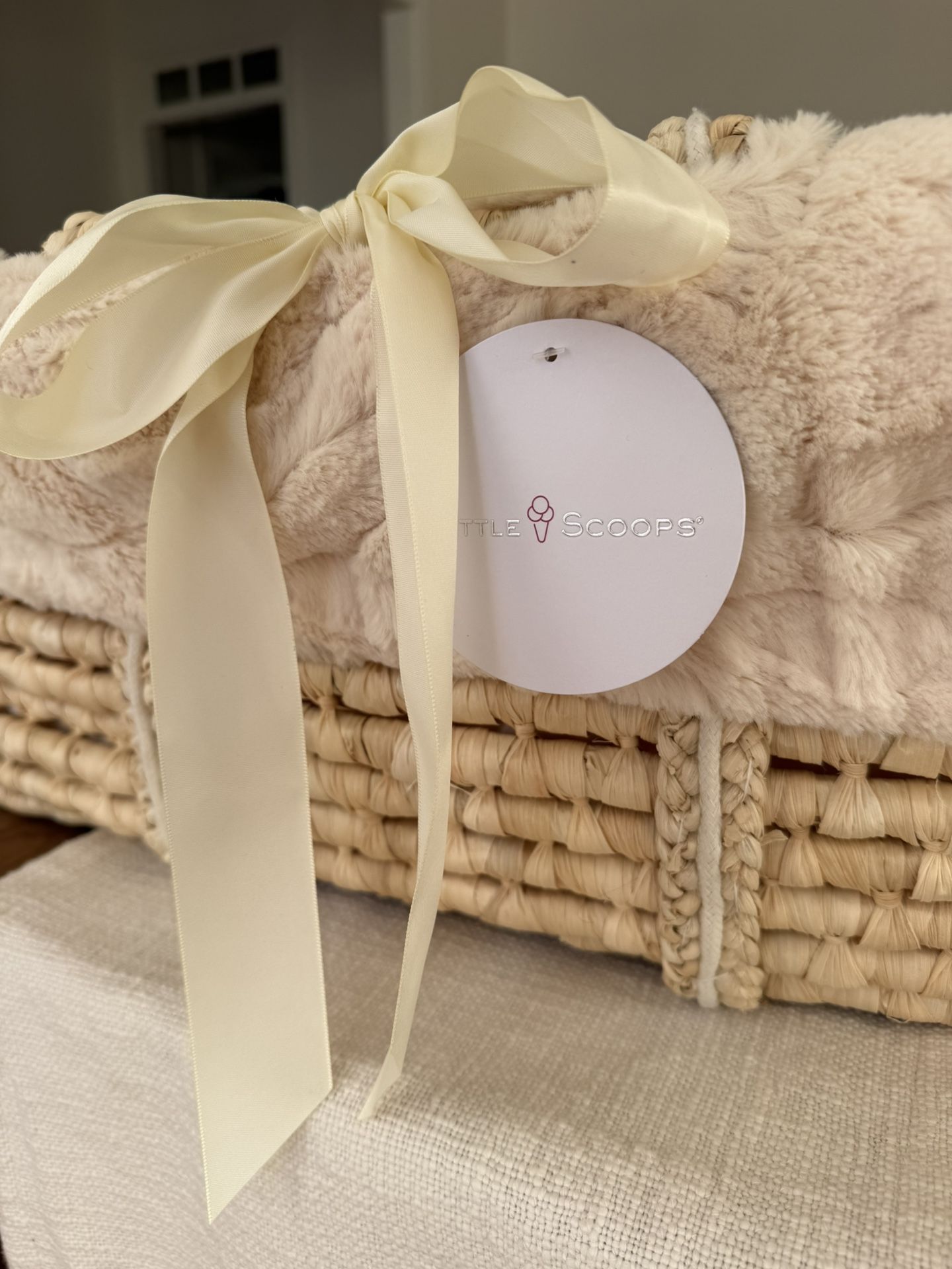Little Scoops Moses Basket And Blanket