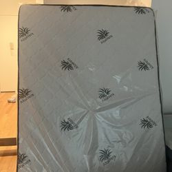 Queen Bed 