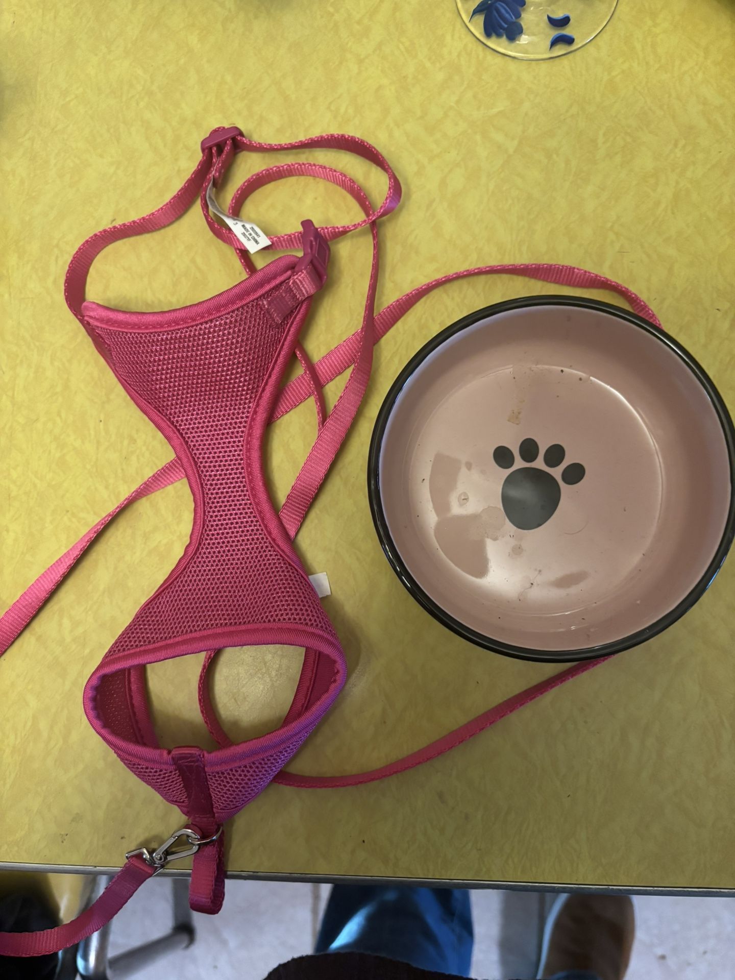 harness For Small Dog And Dish