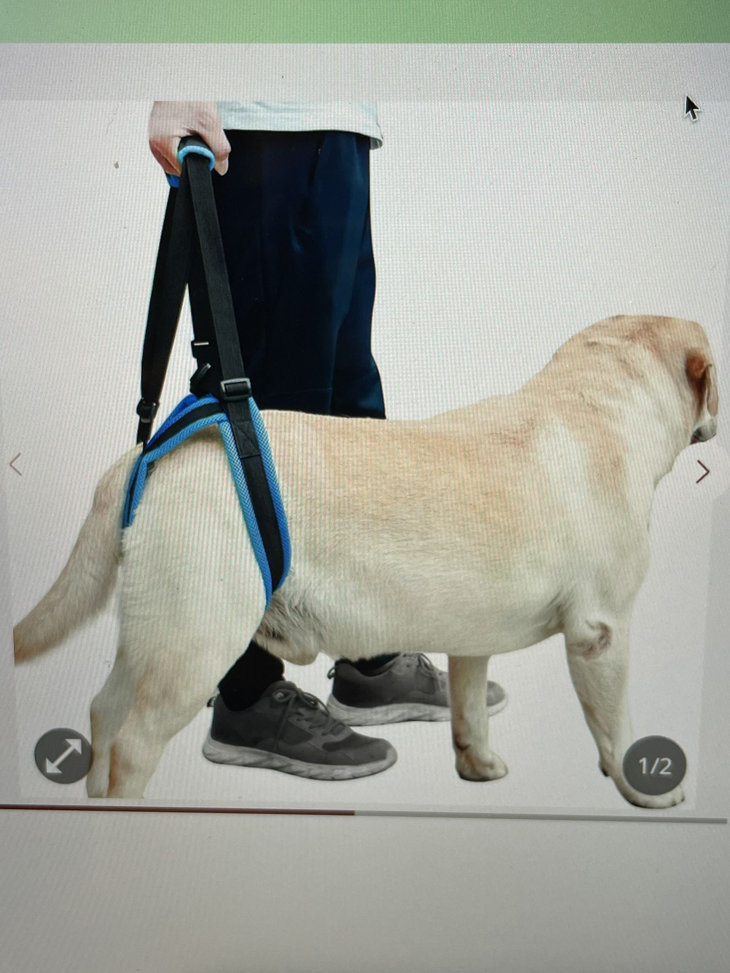 Dog Rear End Support Harness