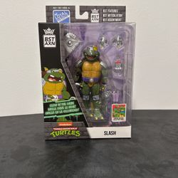Teenage Mutant Ninja Turtles Slash