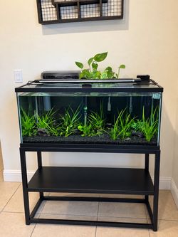 Fish tank aquarium 45 gallon