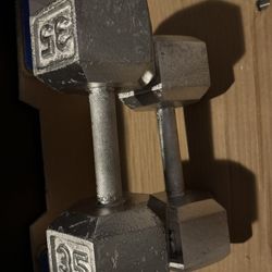 35 Lb Dumbell Pair 