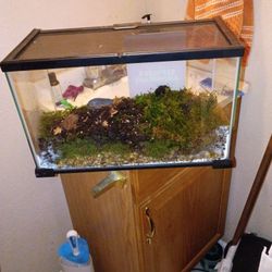 Reptile Tank