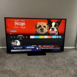 Brand New Vizio Flatscreen TV , 100% Working ! Need gone asap