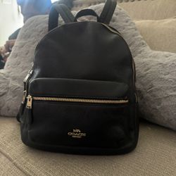 Coach Pack Back