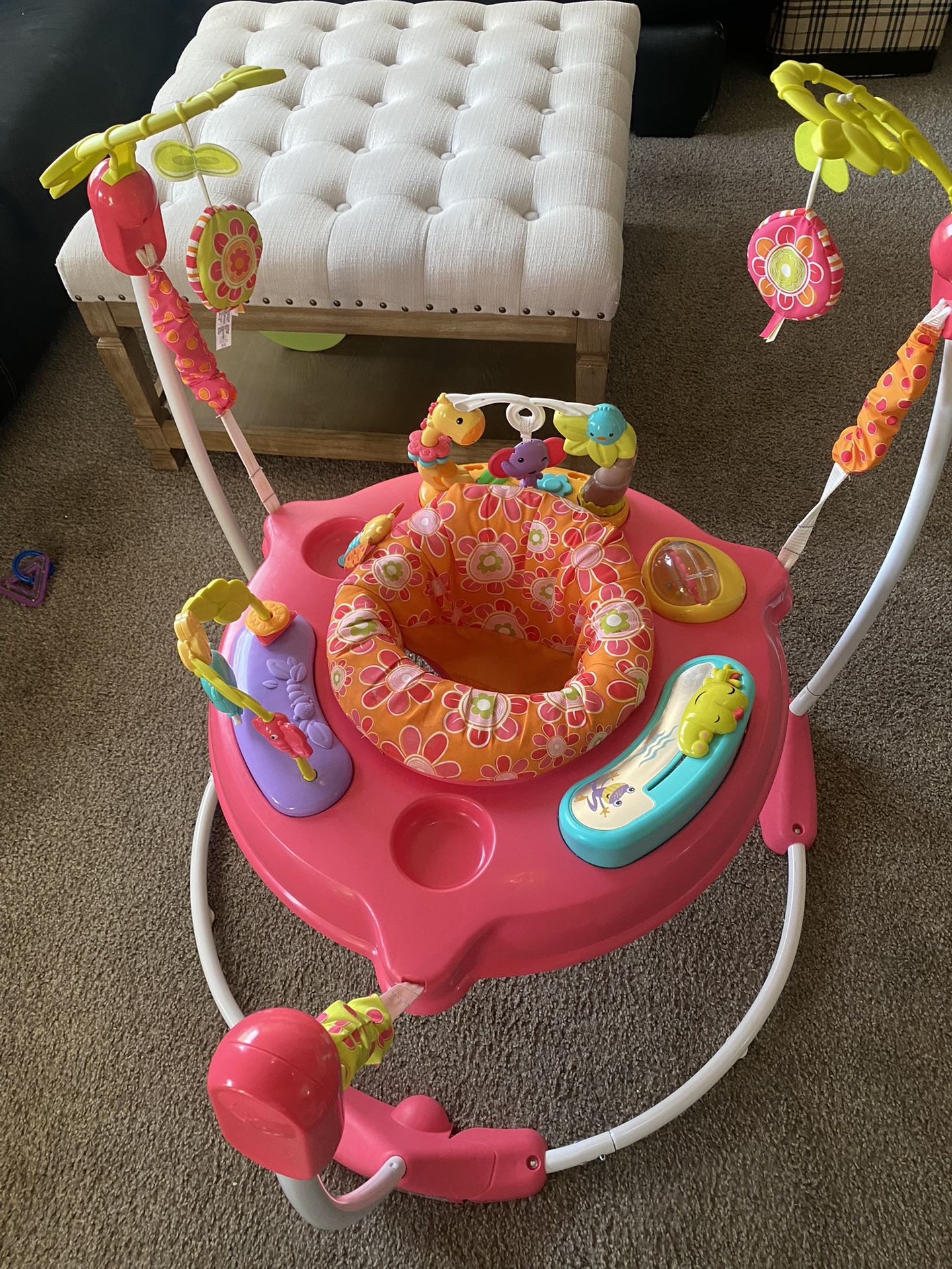 Fisher Price Jumperoo Baby Bouncer