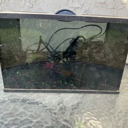 5 Gal Fish Tank