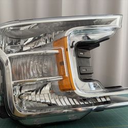 Ford F150 (2018 to 2020) Headlight Right (passenger) Side