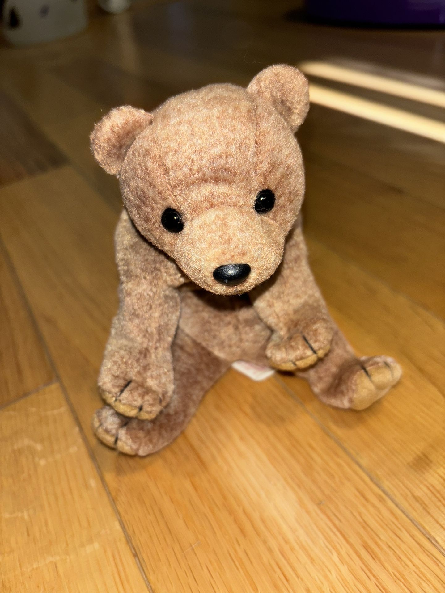 Ty Beanie Baby * Pecan the Bear * Date of Birth: April 15, 1999 * Collectible