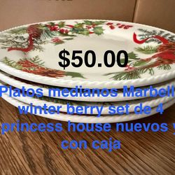 Platos medianos set de 4 👉 princess house todo nuevo y con caja 📦