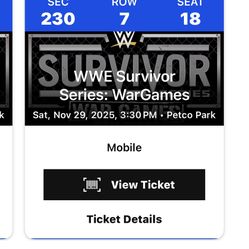 Survivor Series Ticket