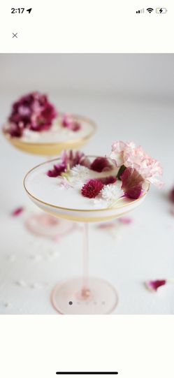 Anthropologie Set Of 2 Martini Glasses