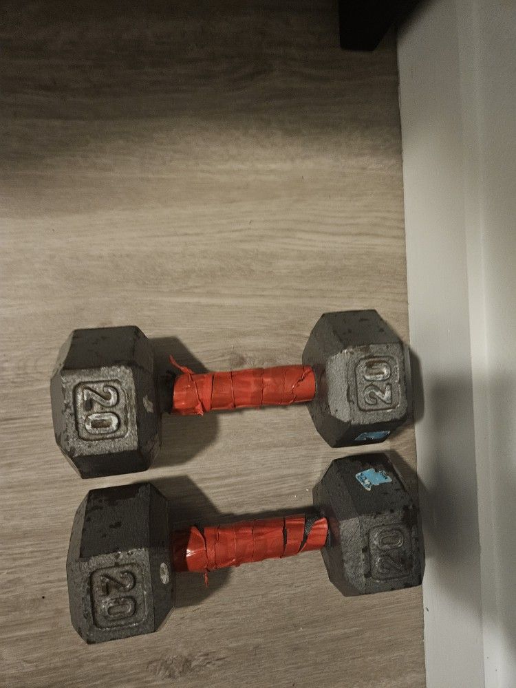 20 Lbs Dumbells
