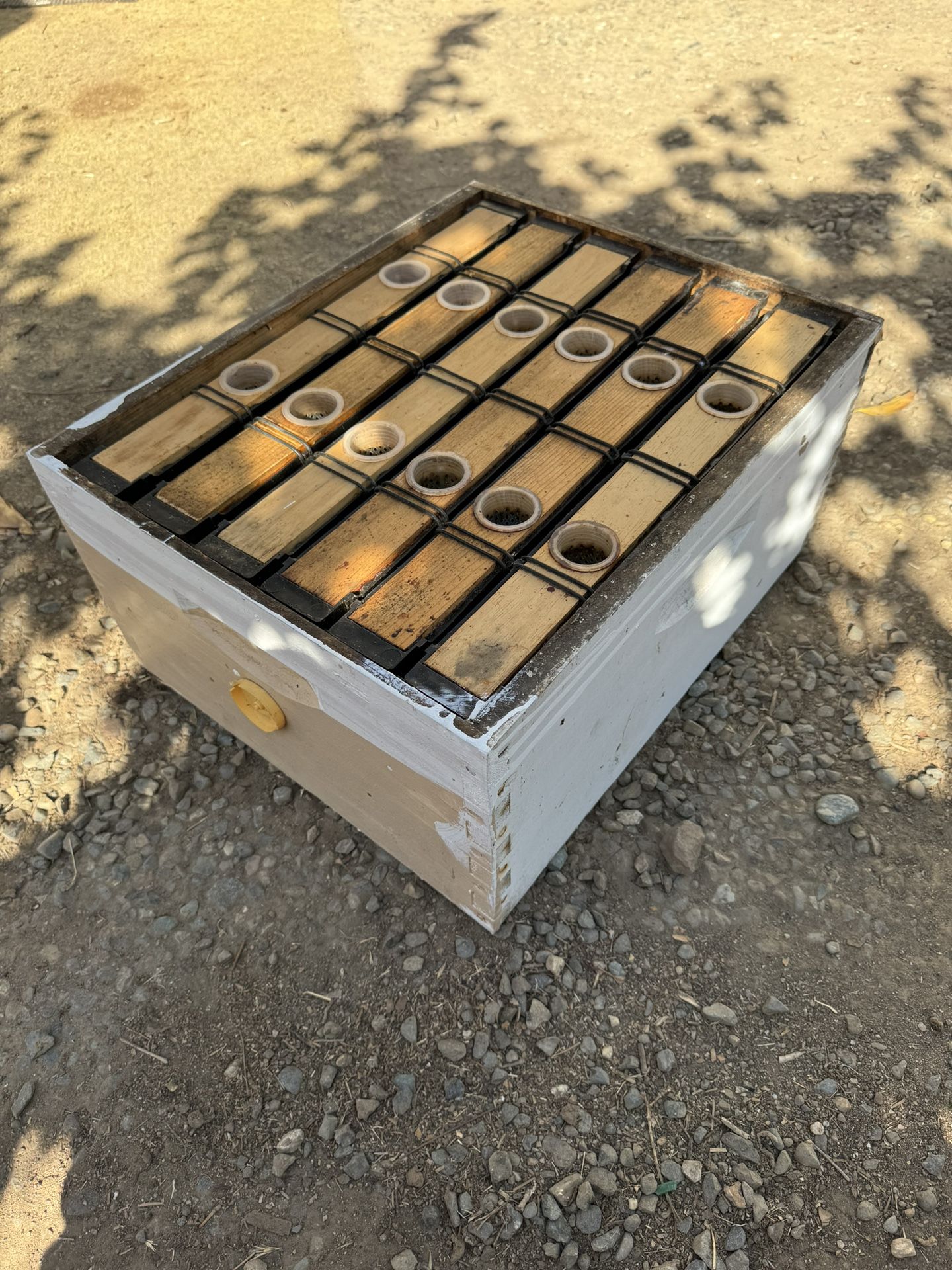 bee feeder With The Box