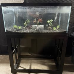 Aquarium For Sale 