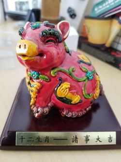 Colorful Pig 🐷🐖